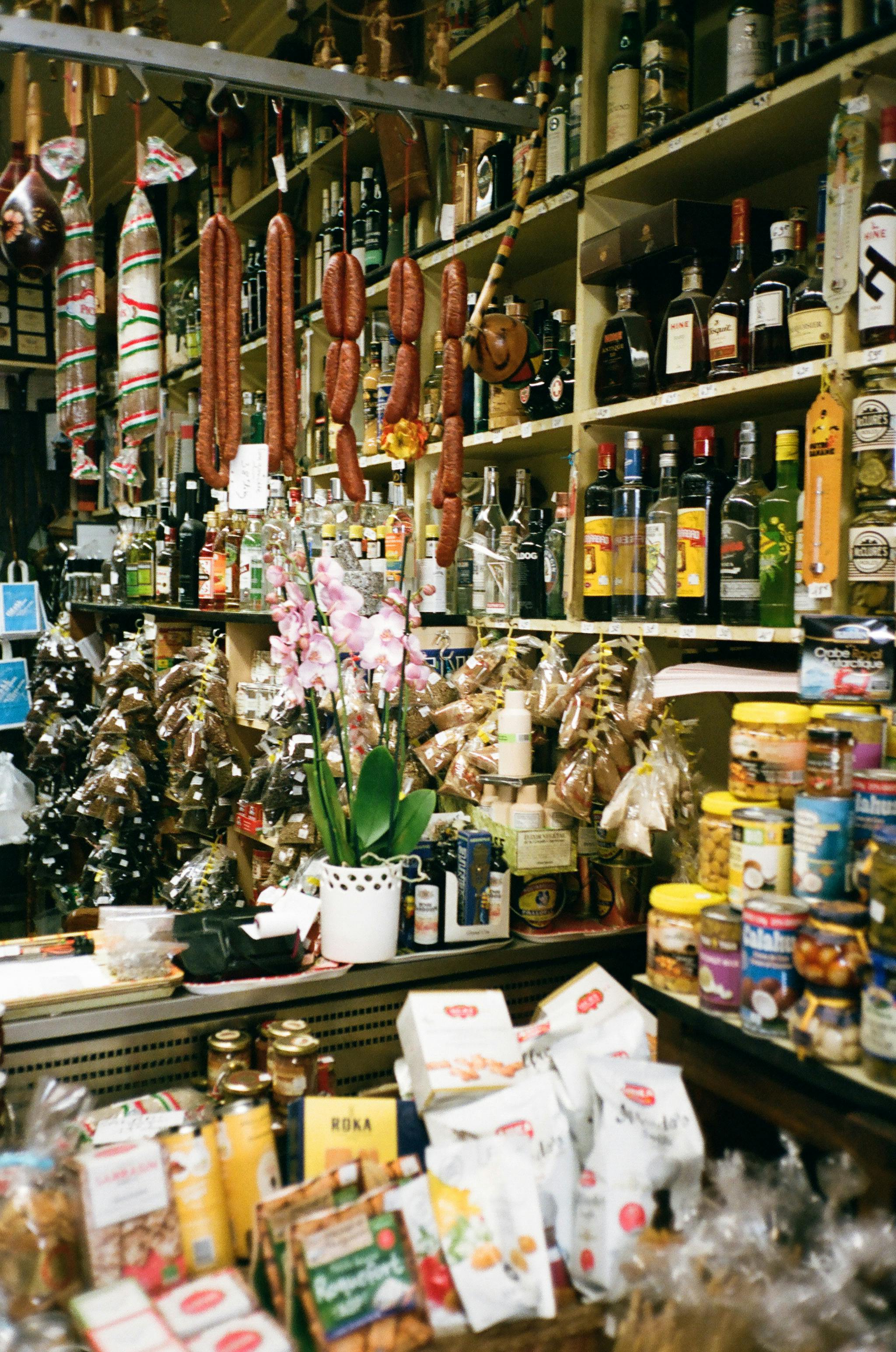 Wine shop Pure grapes